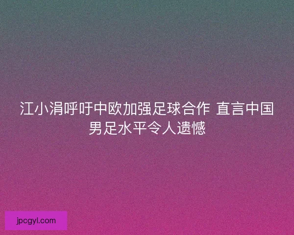 江小涓呼吁中欧加强足球合作 直言中国男足水平令人遗憾